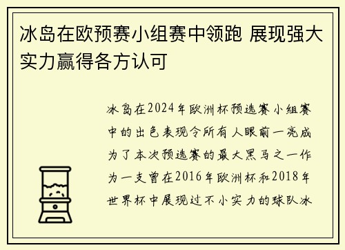 冰岛在欧预赛小组赛中领跑 展现强大实力赢得各方认可