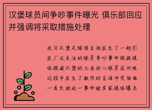 汉堡球员间争吵事件曝光 俱乐部回应并强调将采取措施处理
