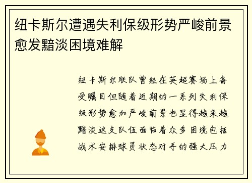 纽卡斯尔遭遇失利保级形势严峻前景愈发黯淡困境难解