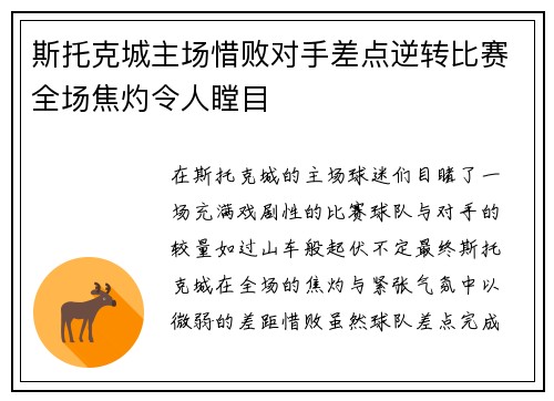 斯托克城主场惜败对手差点逆转比赛全场焦灼令人瞠目