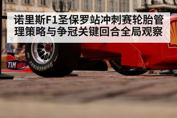 诺里斯F1圣保罗站冲刺赛轮胎管理策略与争冠关键回合全局观察
